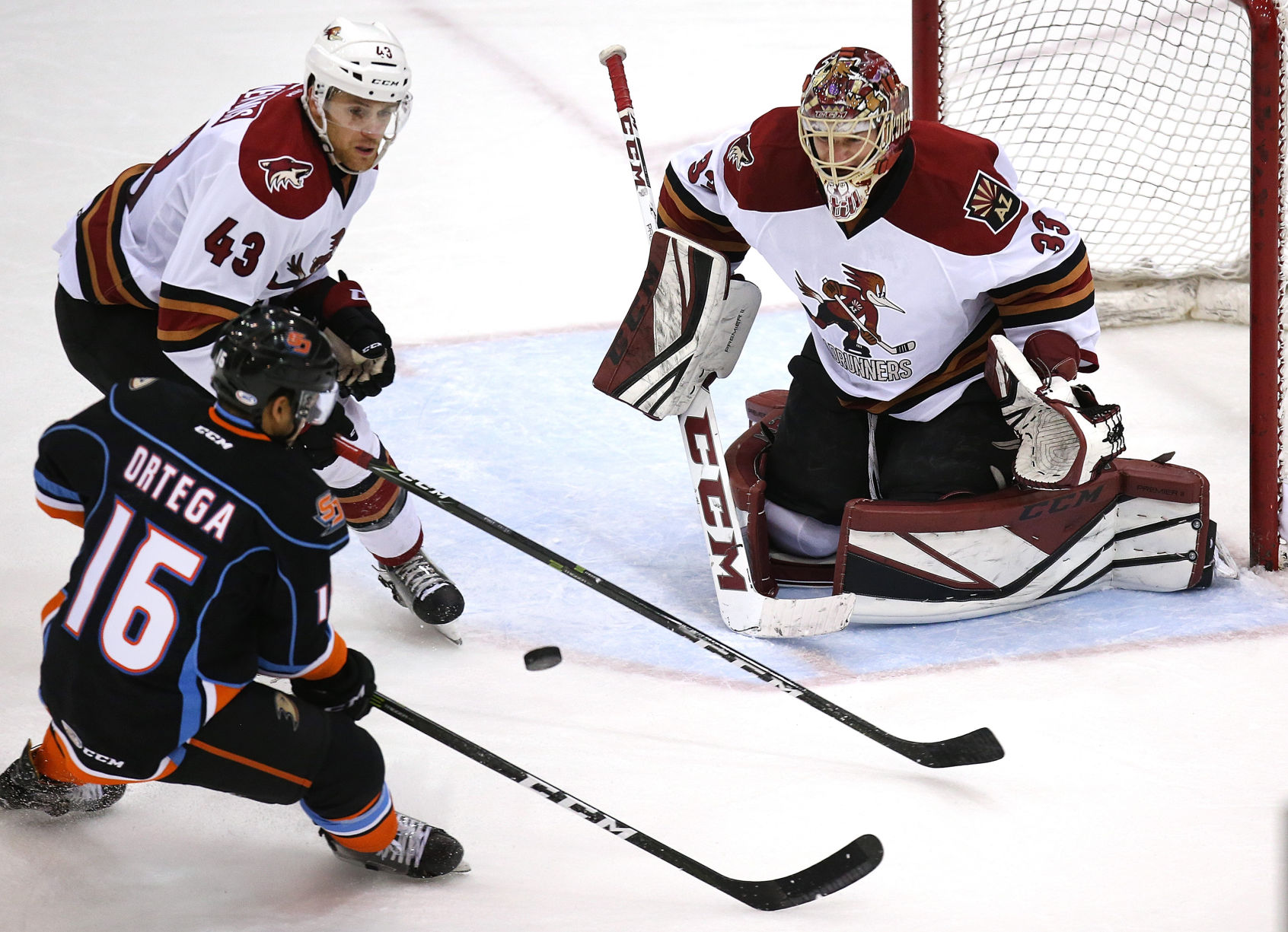 Tucson Roadrunners vs. San Diego Gulls AHL hockey